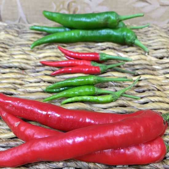 From top: green chillies, red chilli padi, green chilli padi, red chillies. The smaller chillies (chilli padi) are much hotter than the regular-sized chillies!